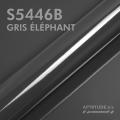 S5446B - Gris Éléphant - Brillant