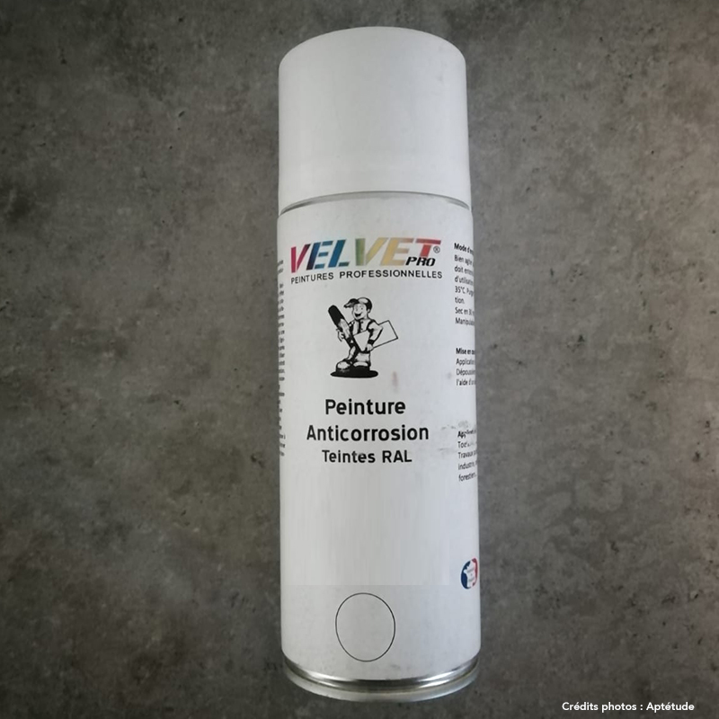 VelvetPRO® Peinture de retouche RAL - Lot de 12