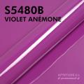 S5480B - Violet Anémone - Brillant