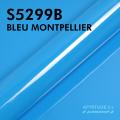S5299B - Bleu Montpellier - Brillant