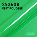 S5360B - Vert Fougère - Brillant