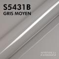 S5431B - Gris Moyen - Brillant